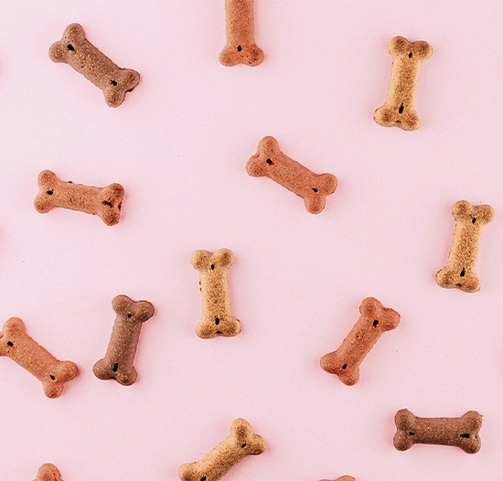 demo020 dog foods (1)